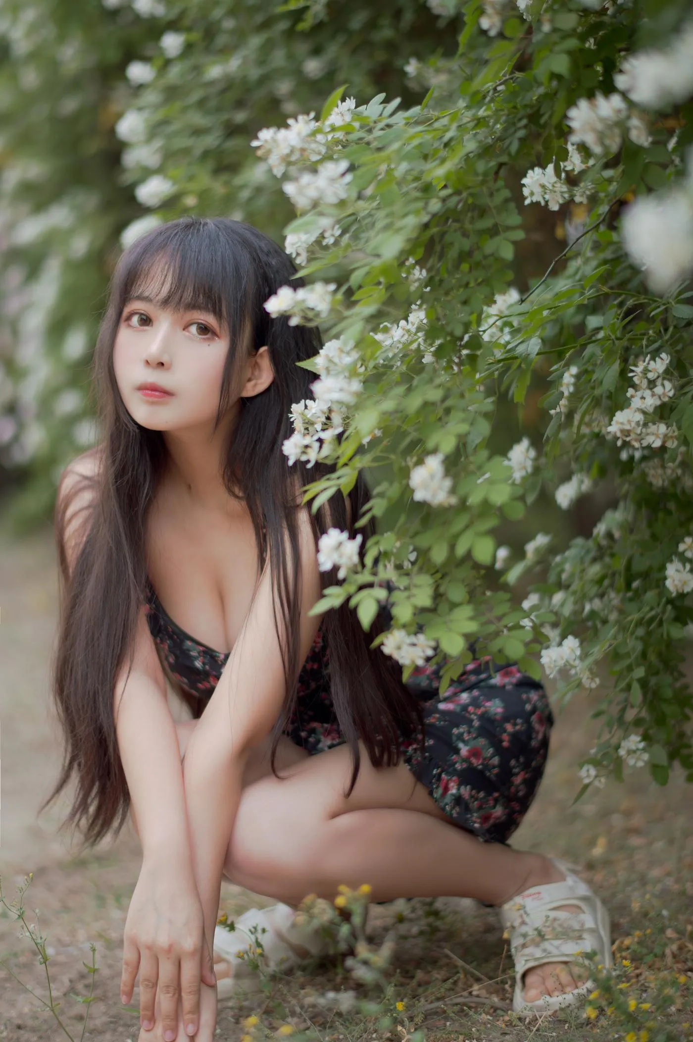 黑猫猫OvO – NO.22 蔷薇1 [22P]插图4